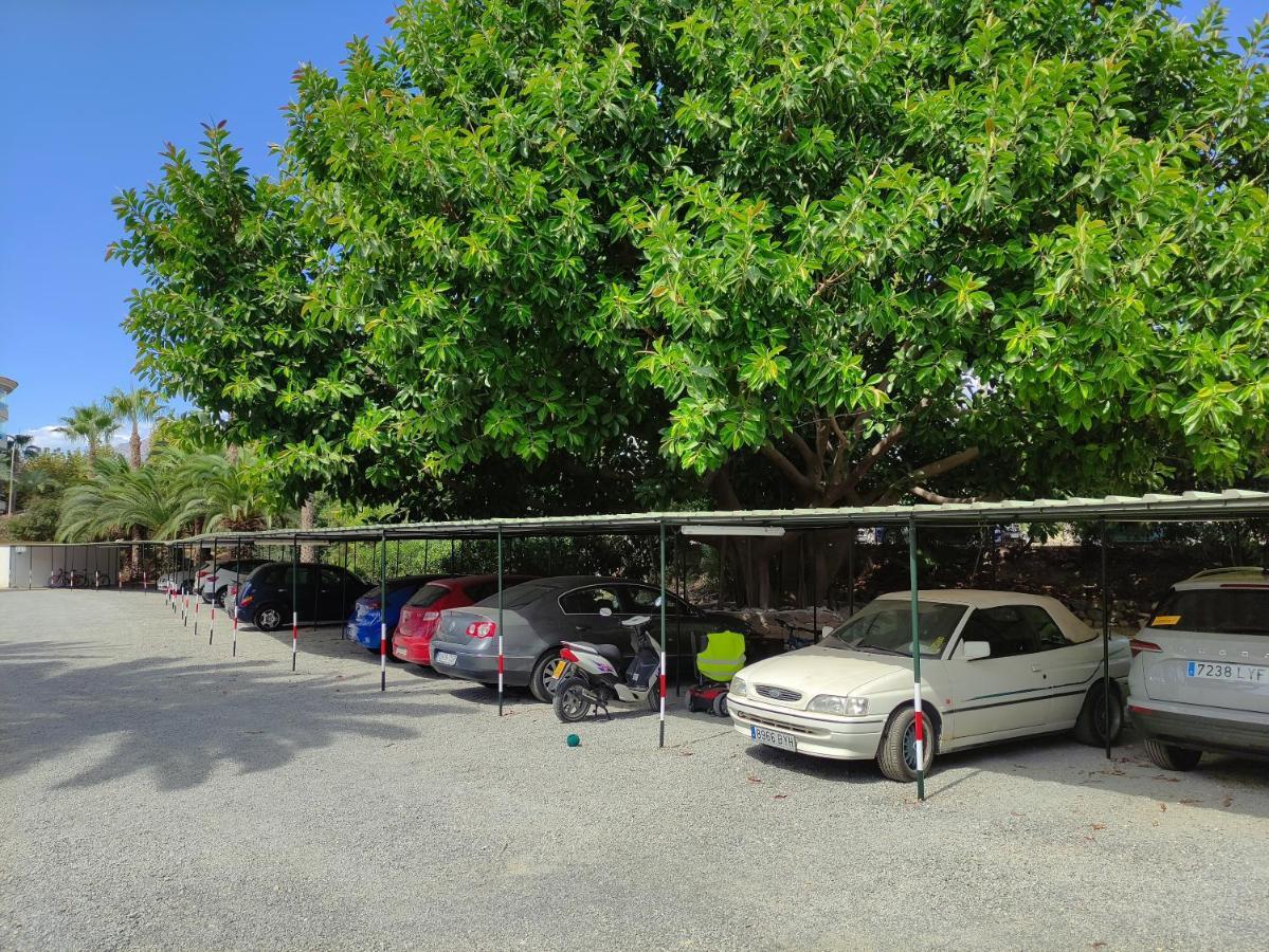 Albir Cosy Apartment El Albir Luaran gambar